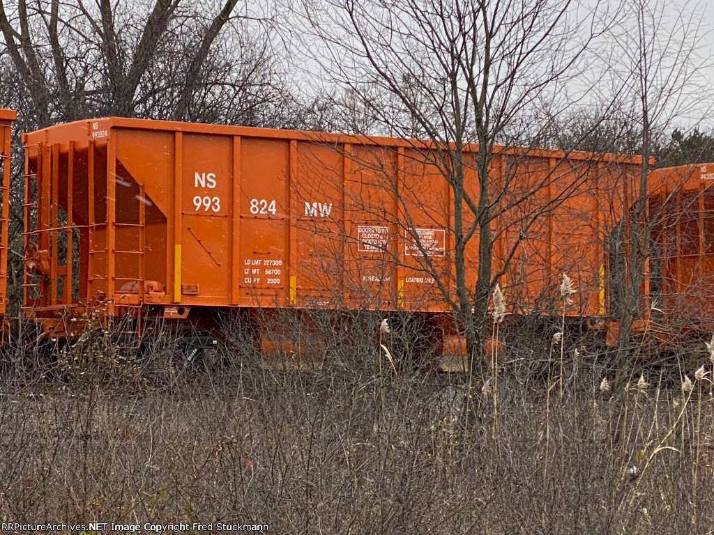 NS 993824 is new to rrpa.